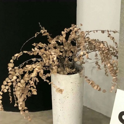 宣化FurryQQ群介绍